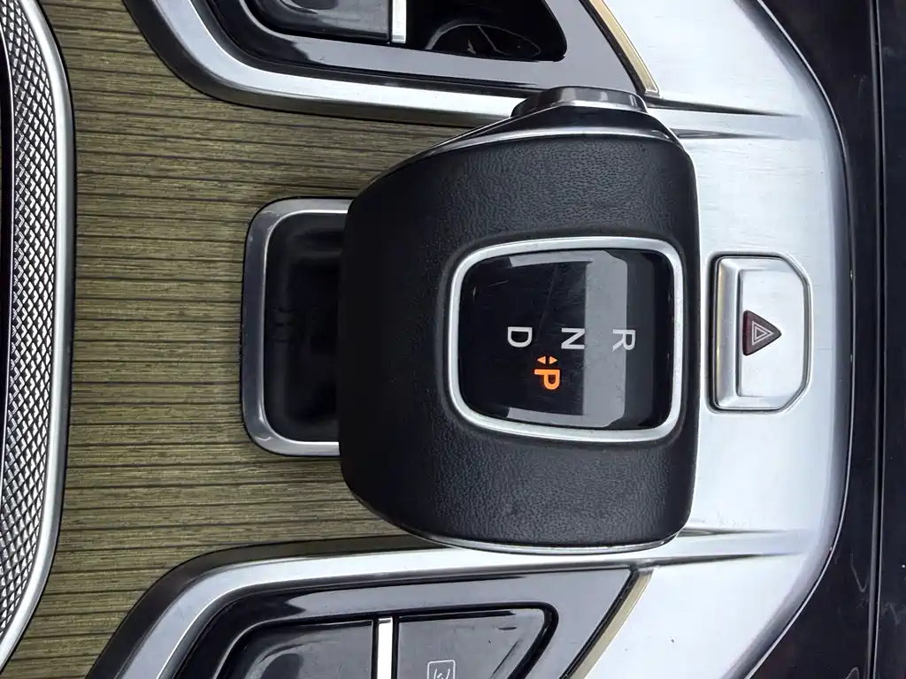 Hongqi E-HS9 2022 690km мест