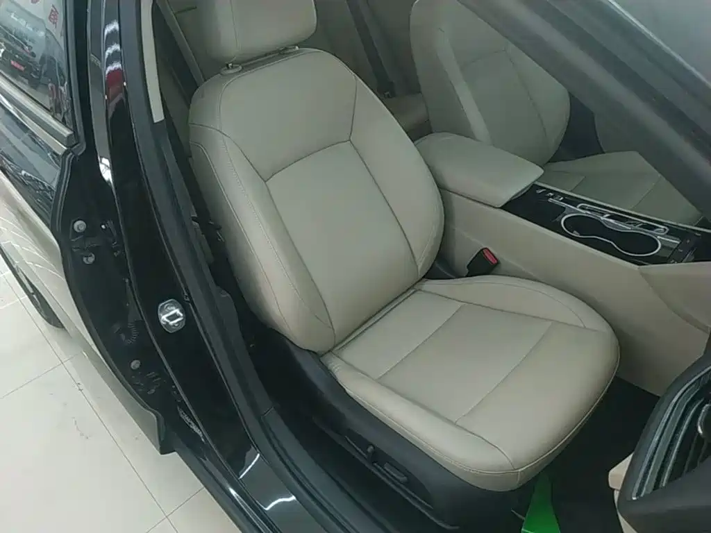 Buick Regal — миниатюра 25