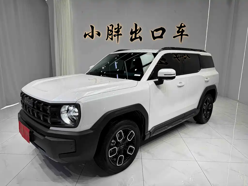 Купить Haval Cool Dog