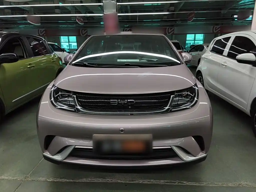 BYD Dolphin — миниатюра 3