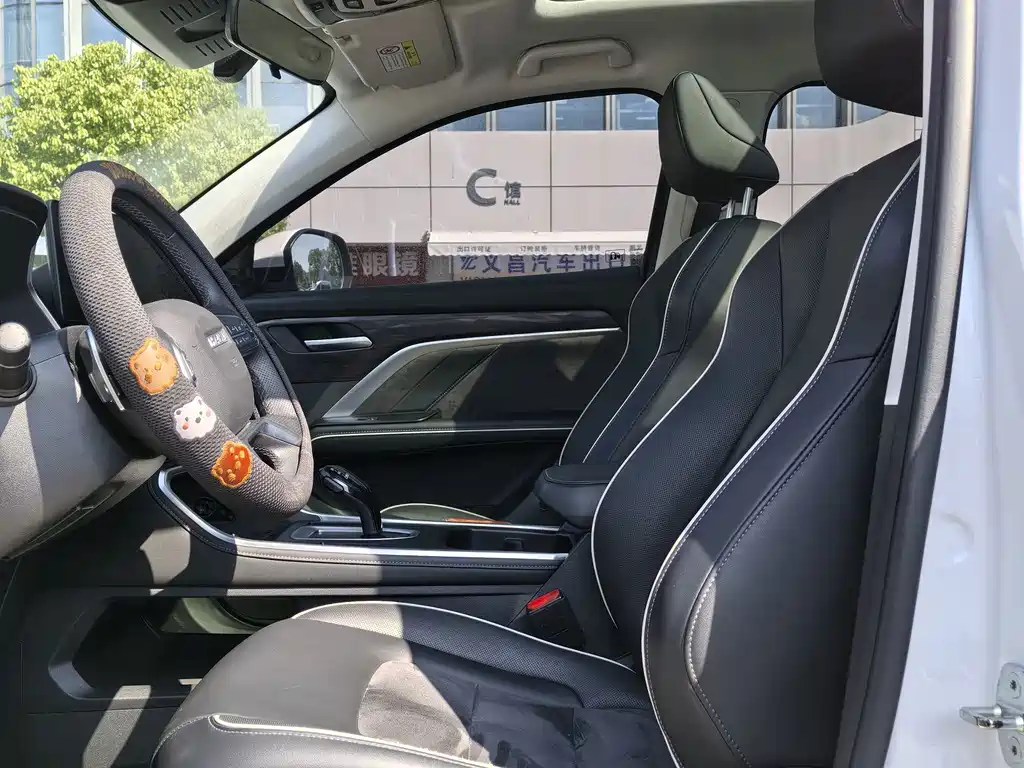 Haval H6 — миниатюра 4