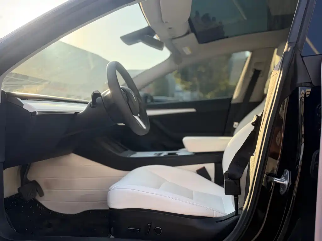 Tesla Model 3 — миниатюра 9