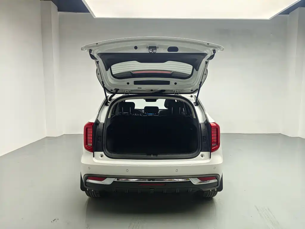Haval Chulian — миниатюра 7
