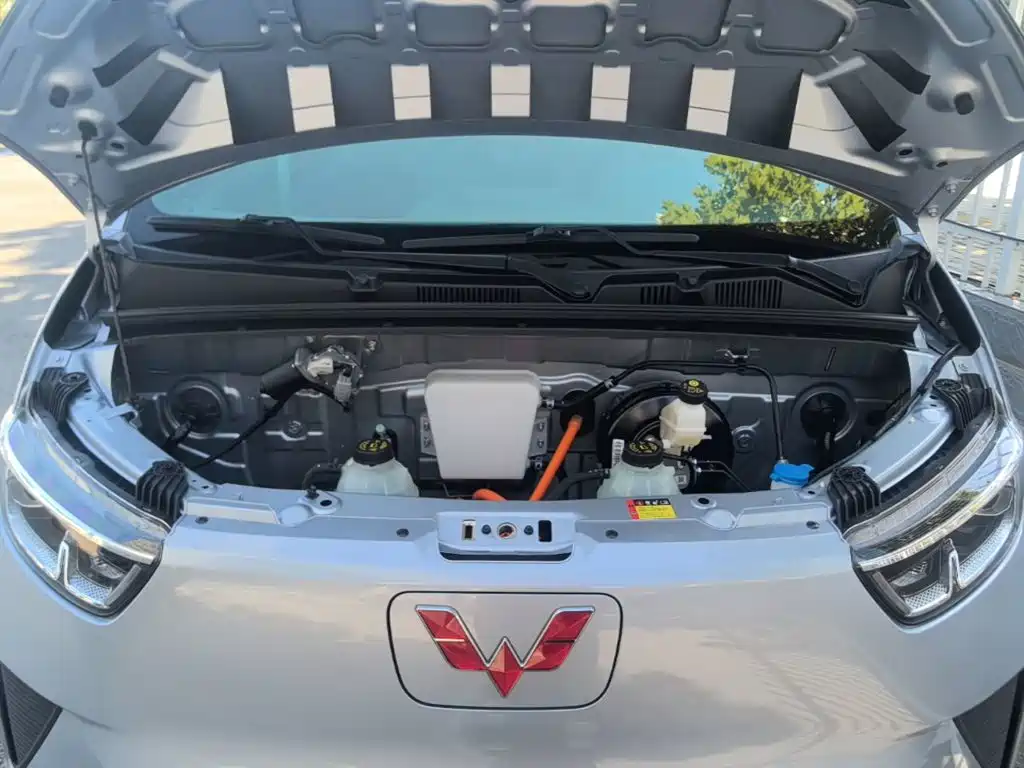 Wuling Yangguang — миниатюра 20