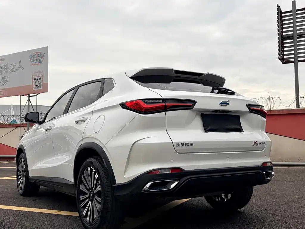 Oshan Oushang X5 — миниатюра 5