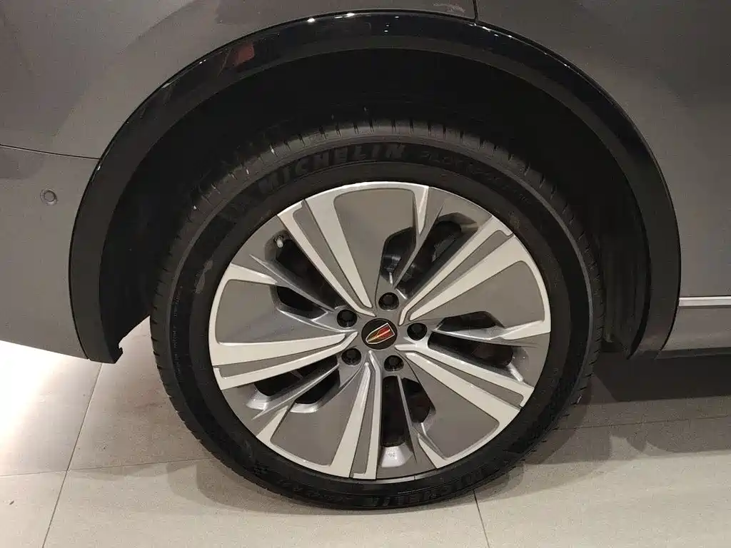 Hongqi E-HS9 2022 660km мест