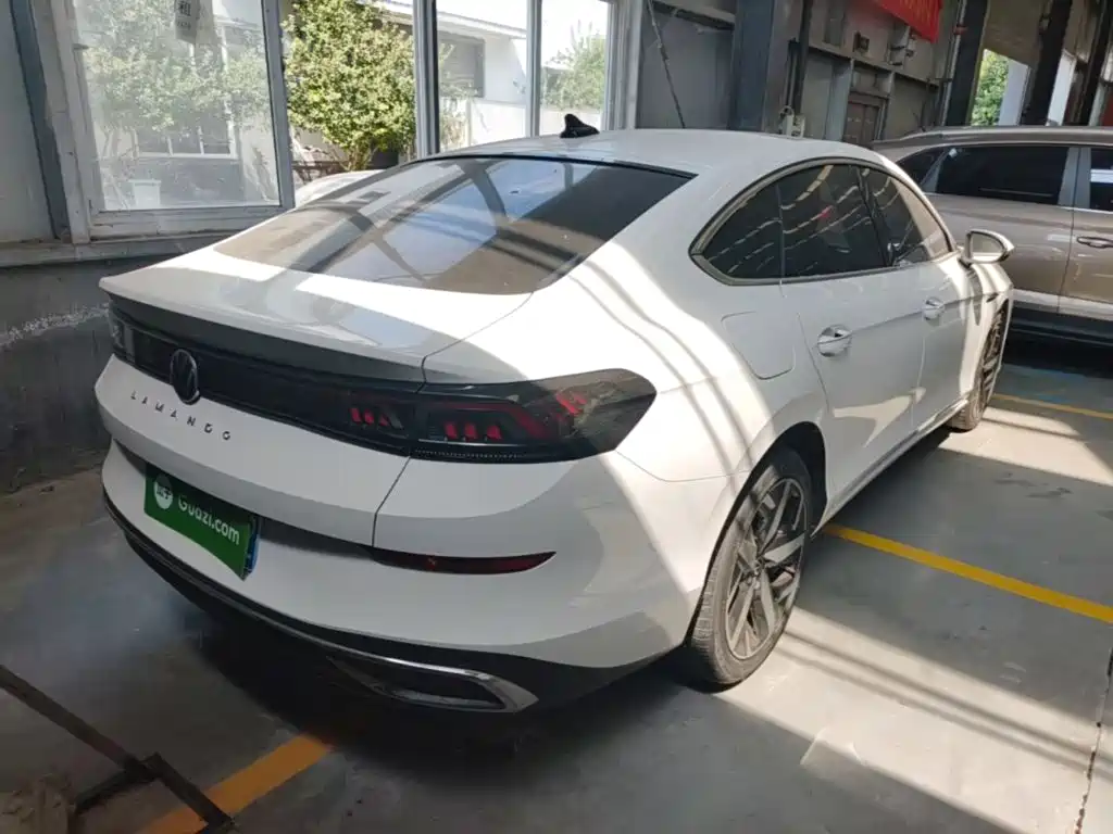 Volkswagen Lamando — миниатюра 7