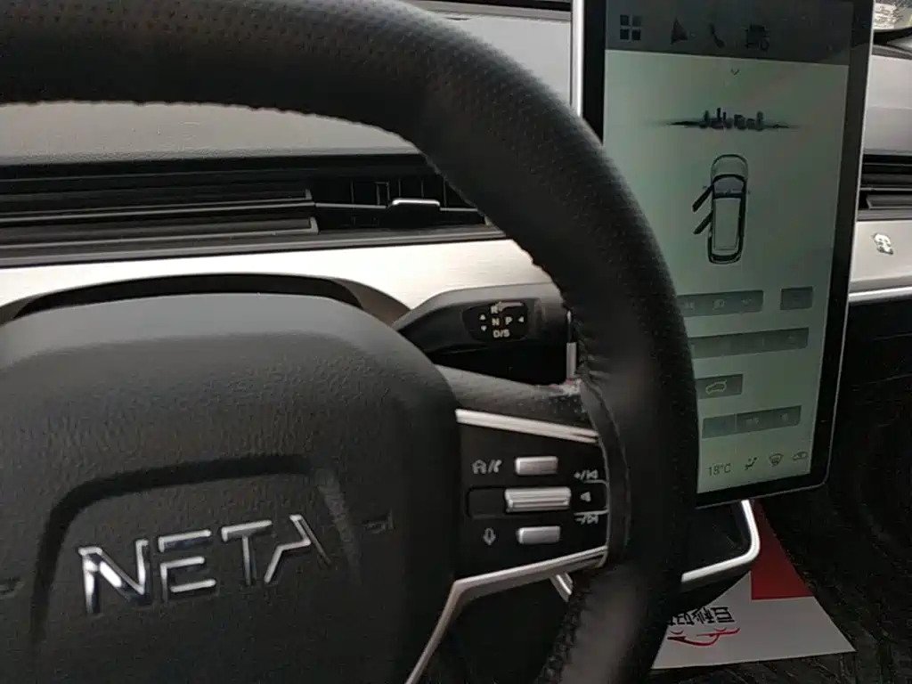 Neta Neta V — миниатюра 14