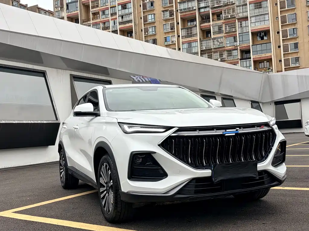 Oshan Oushang X5 — миниатюра 3