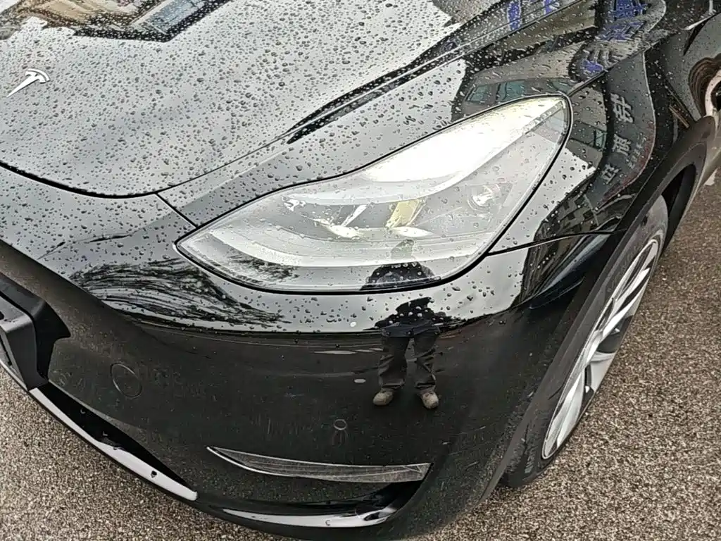 Tesla Model Y — миниатюра 24