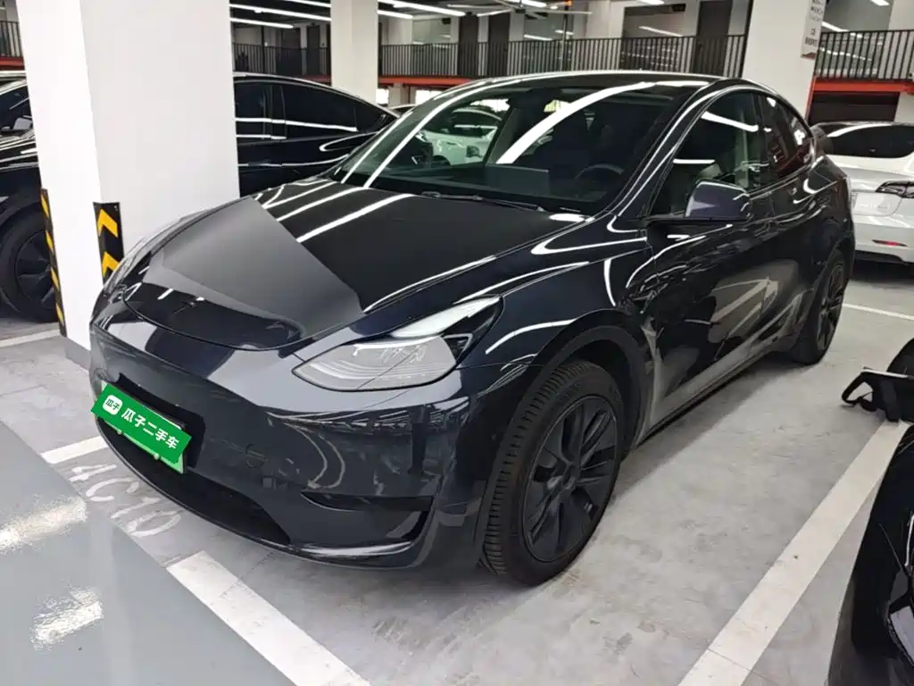 Tesla Model Y — миниатюра 2