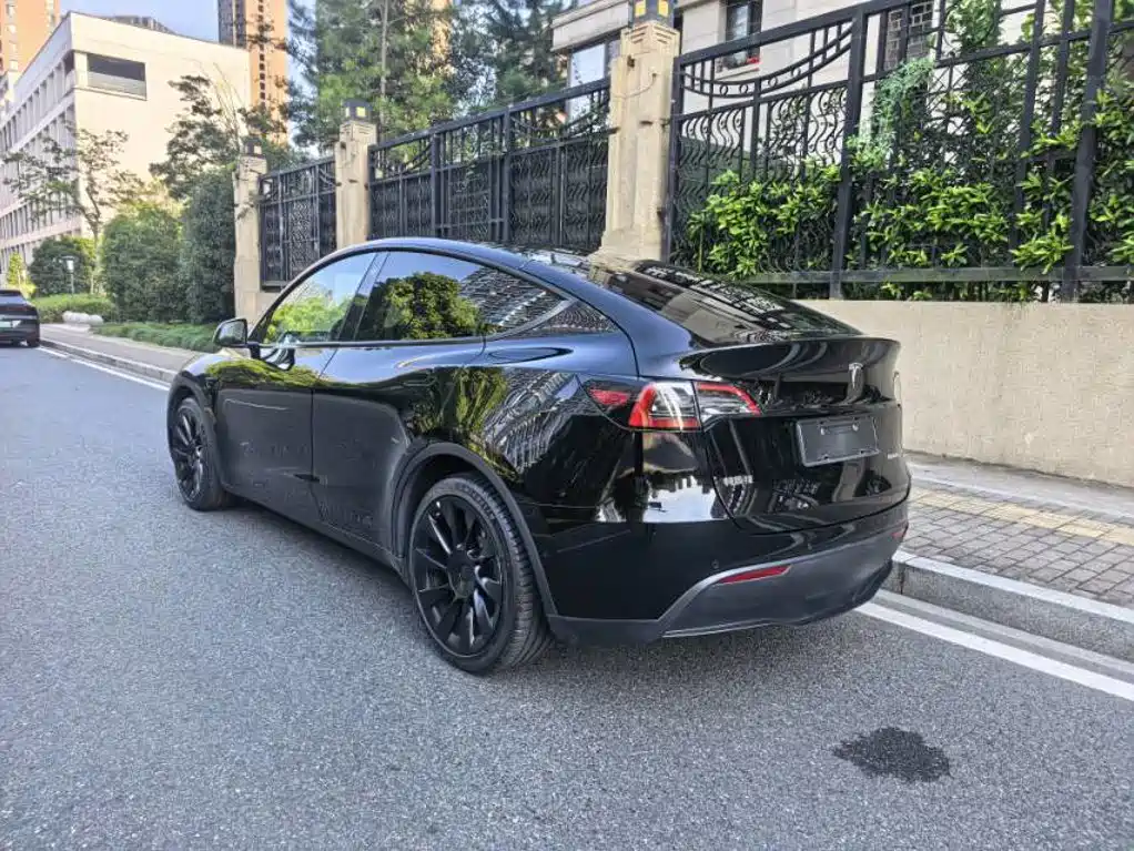 Tesla Model Y — миниатюра 6