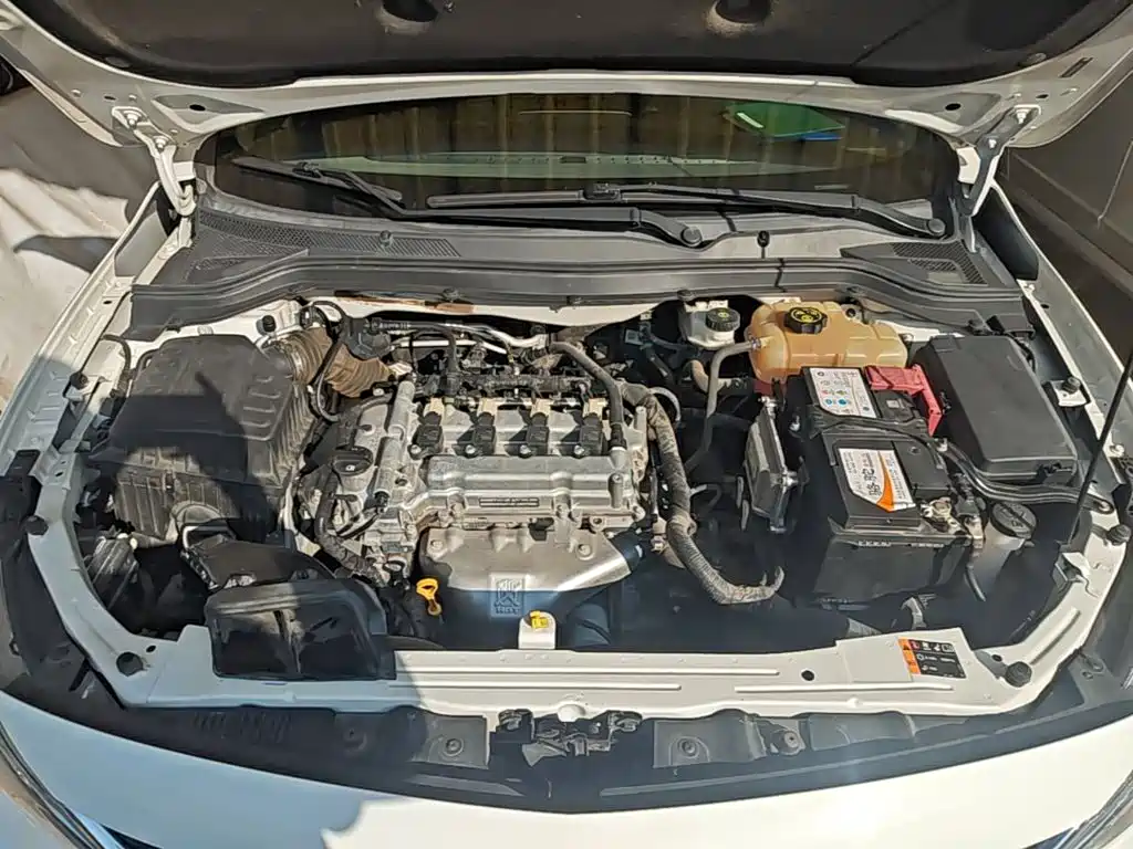 Chevrolet Cavalier — миниатюра 20