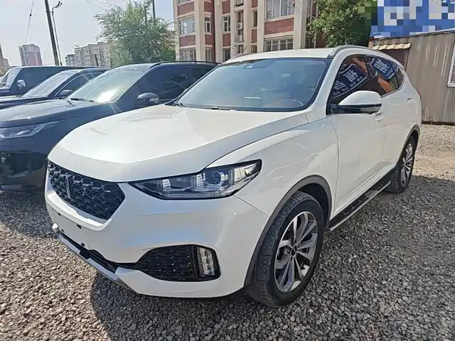 2018 Wey VV6