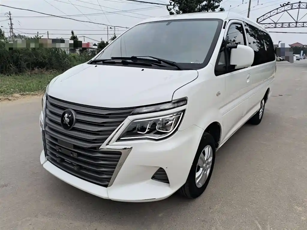 Купить Fengxing Lingzhi
