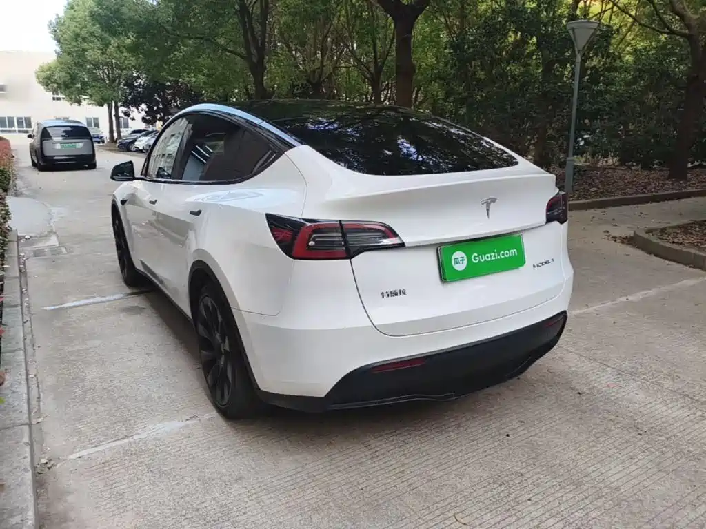 Tesla Model Y — миниатюра 5