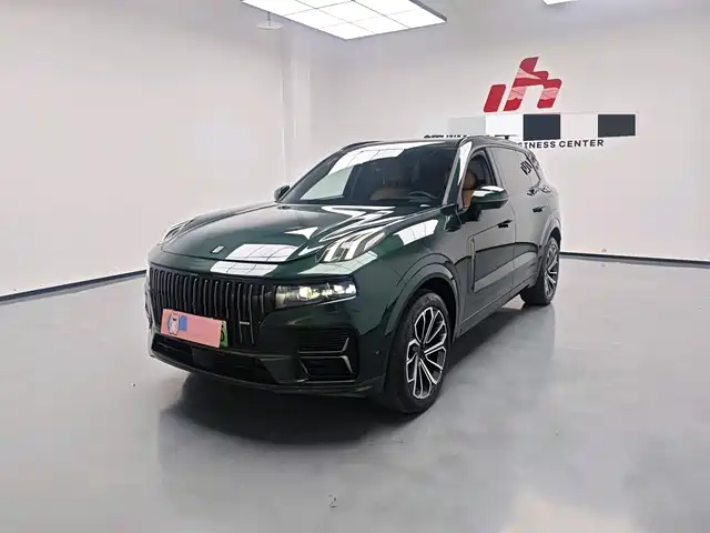 Lynk & Co 09 EM-P 2025 2.0 TD EM-P 4 WDMax — фото 1