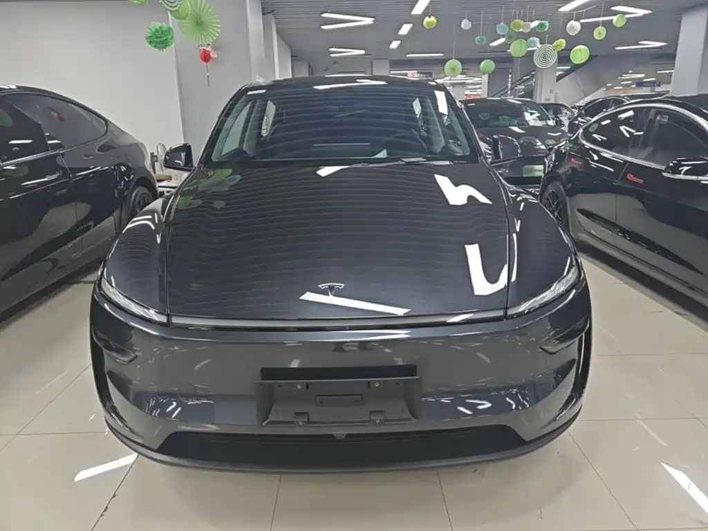 Tesla Model Y — миниатюра 3