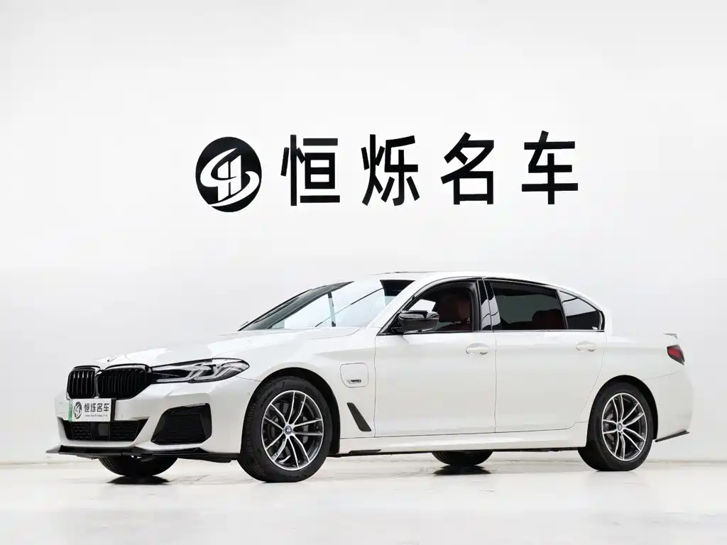 BMW 5 Series New Energy