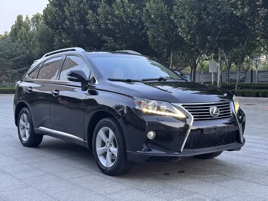 Lexus RX Classic — миниатюра 3