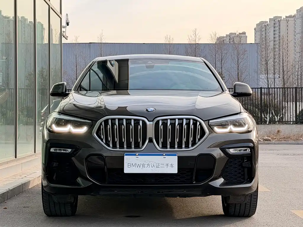 BMW X6 2020 xDrive30i M Sport
