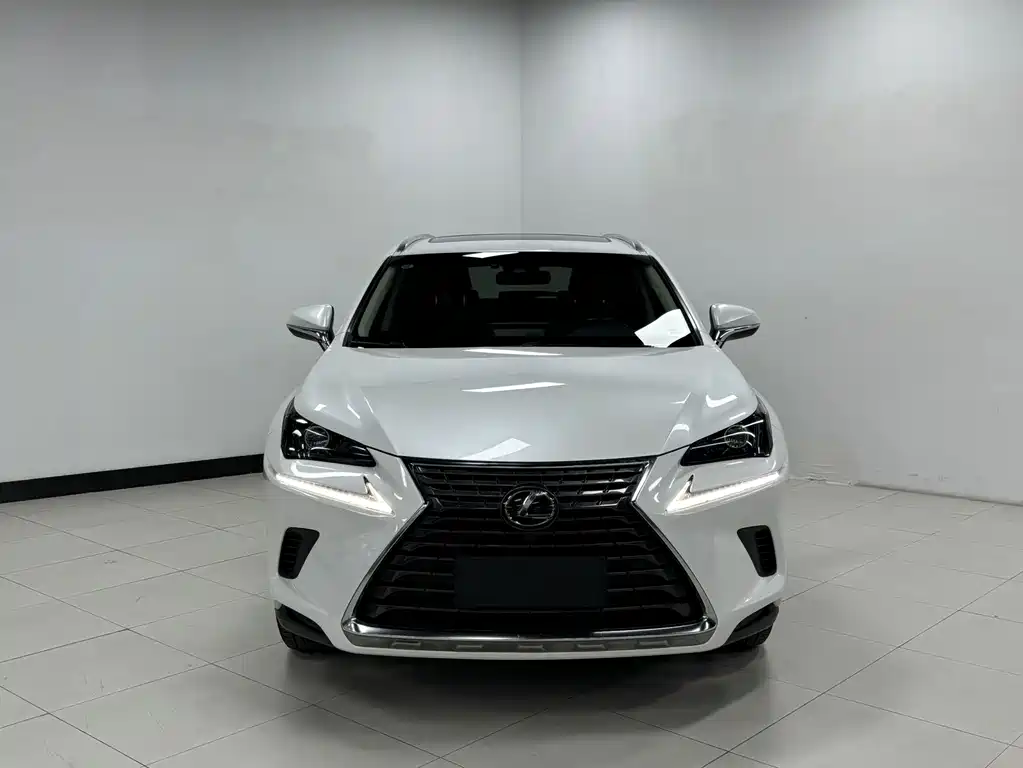 Lexus NX — миниатюра 2