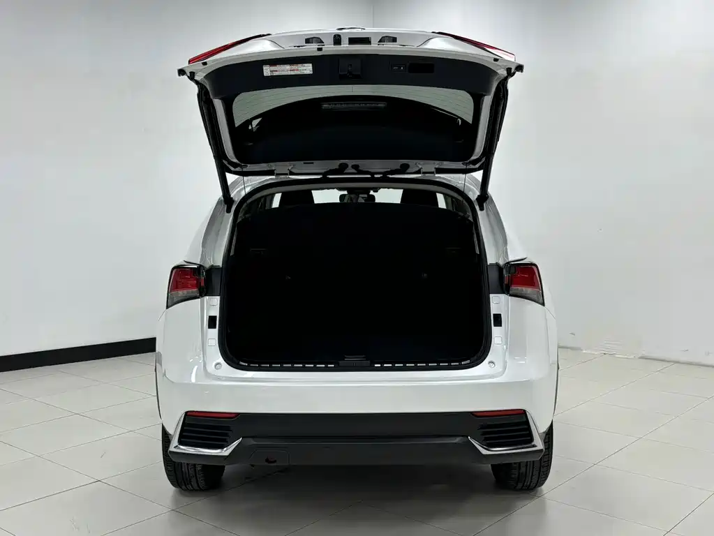 Lexus NX — миниатюра 7