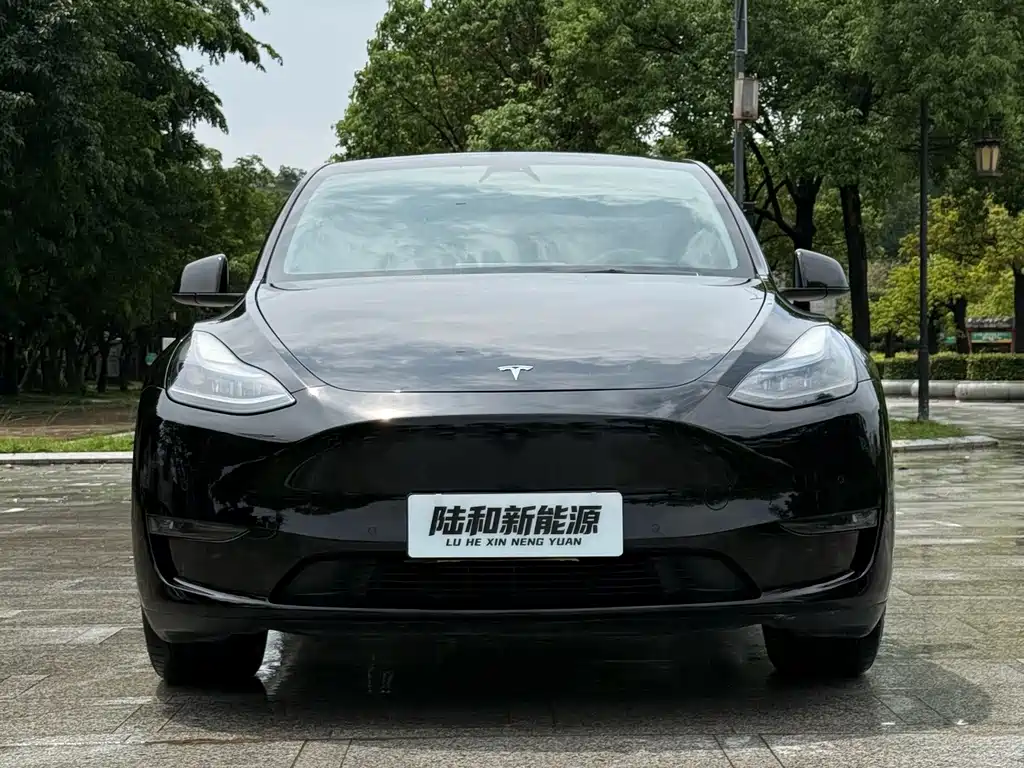 Tesla Model Y — миниатюра 4