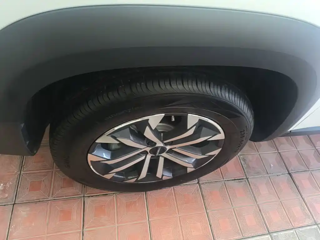 Haval Big Dog — миниатюра 23