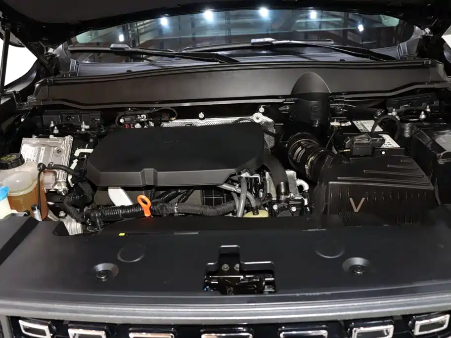 Haval Big Dog PLUS — миниатюра 19