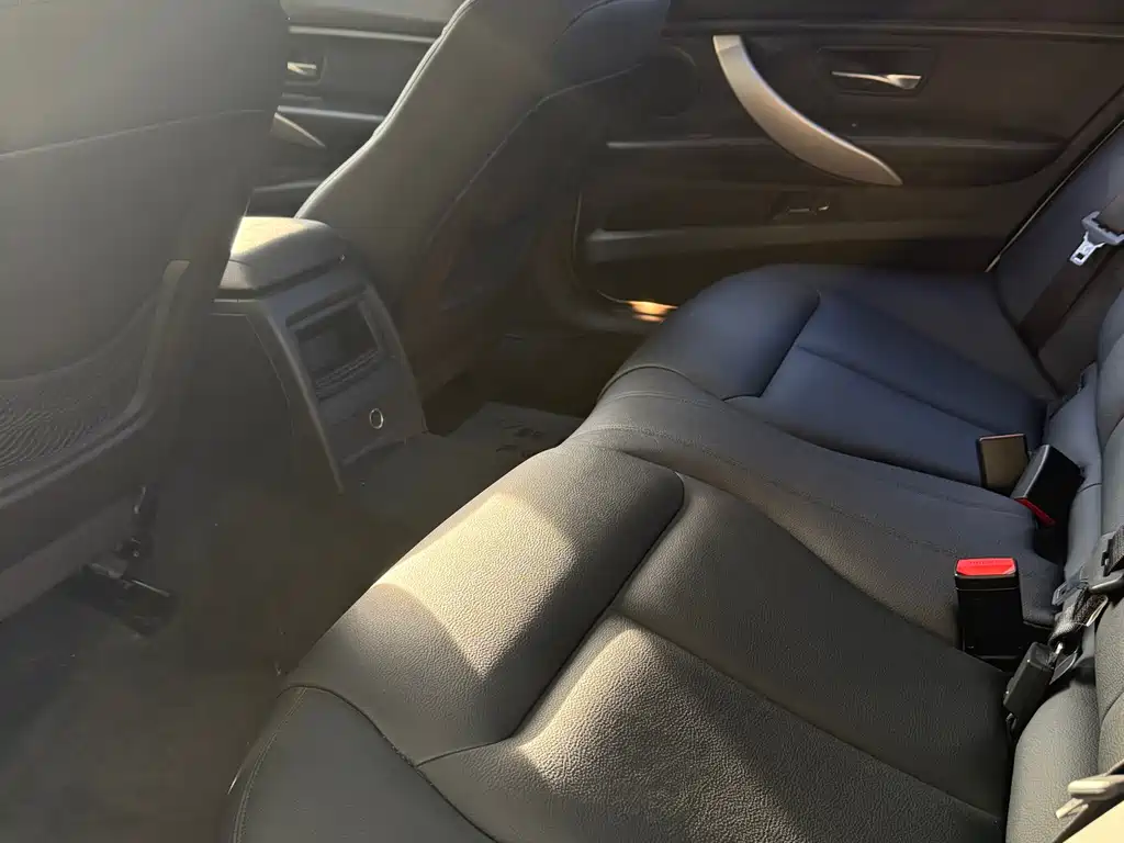 BMW 3 Series 3 2015 316Li Fashion