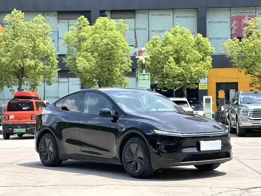 Tesla Model Y — миниатюра 3