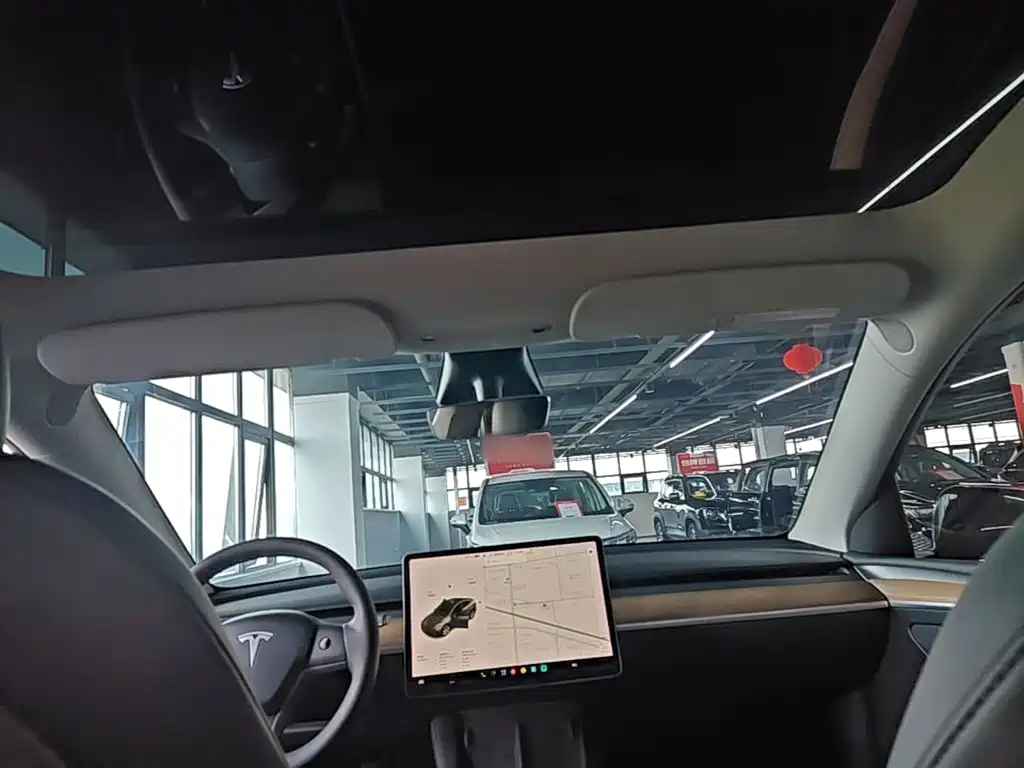 Tesla Model Y — миниатюра 18