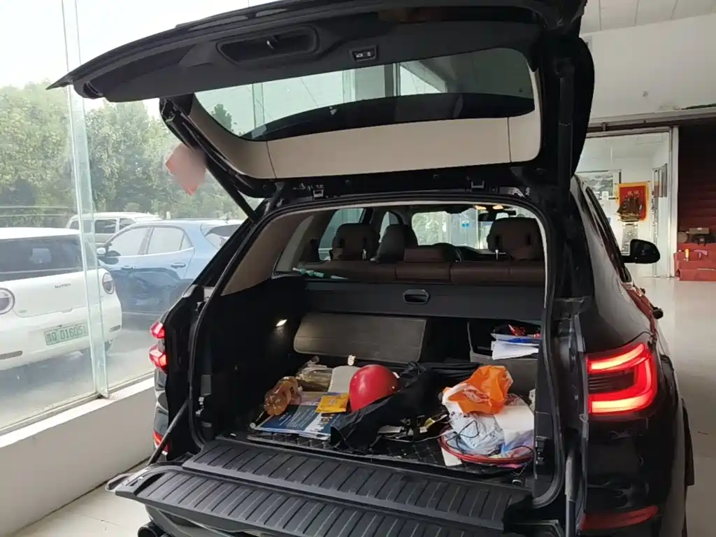 BMW X5 (Import) — миниатюра 19