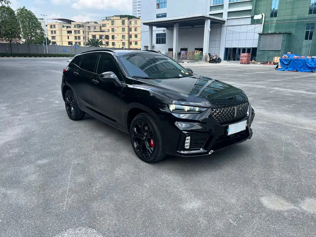 Купить Wey Wey VV7