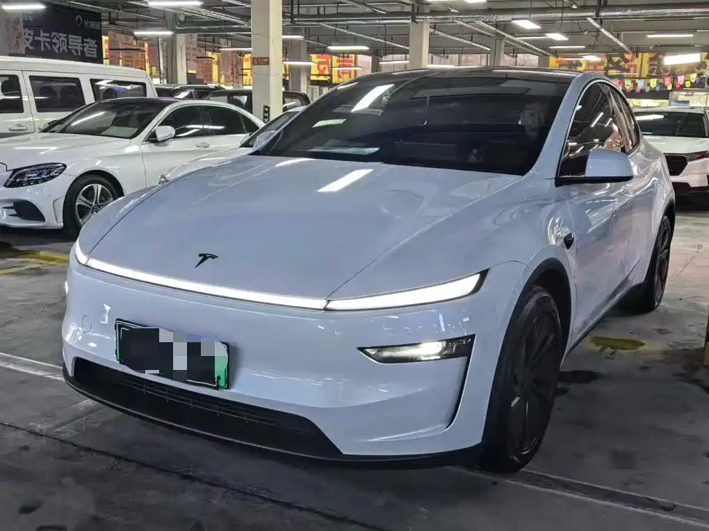 Tesla Model Y — миниатюра 3