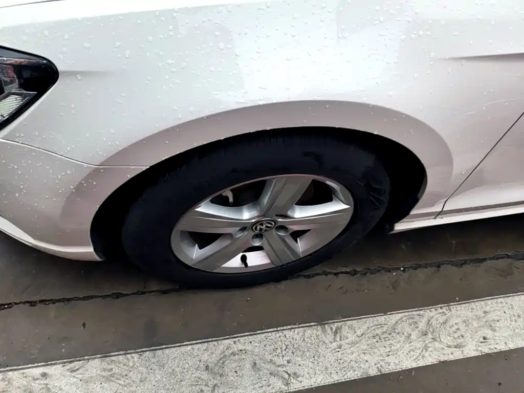 Volkswagen Lamando — миниатюра 23