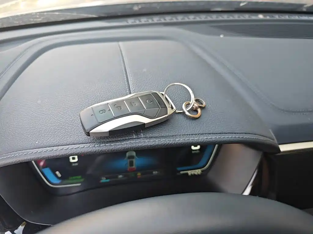 BYD PLUS New Energy — миниатюра 9
