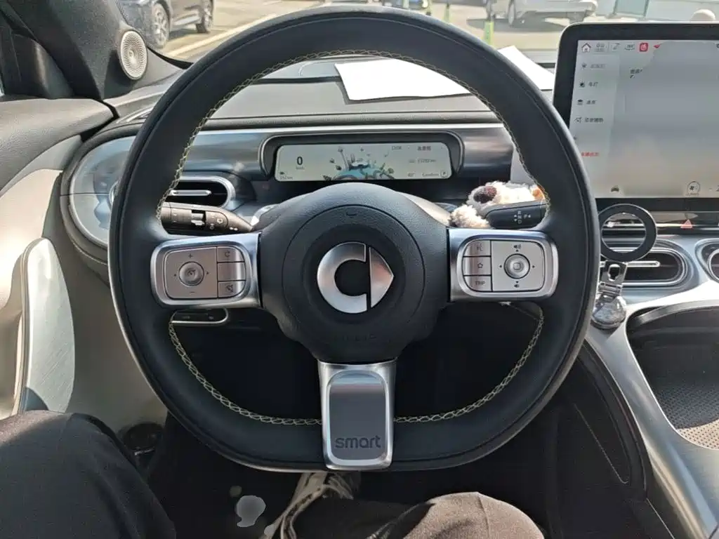 smart Smart #1 — миниатюра 11