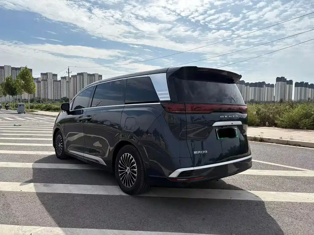 Denza Denza D9 — миниатюра 4