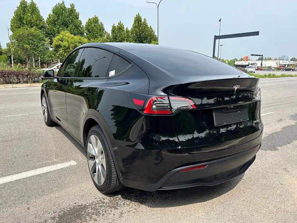 Tesla Model Y — миниатюра 13