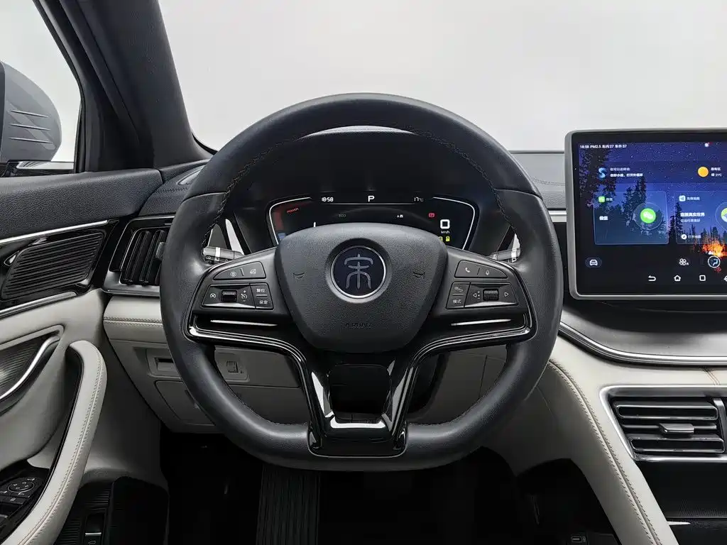 BYD PLUS New Energy — миниатюра 11