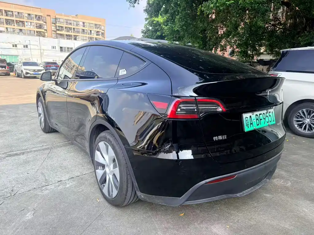 Tesla Model Y — миниатюра 6
