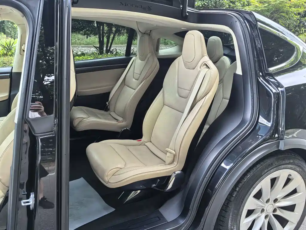Tesla Model X — миниатюра 8