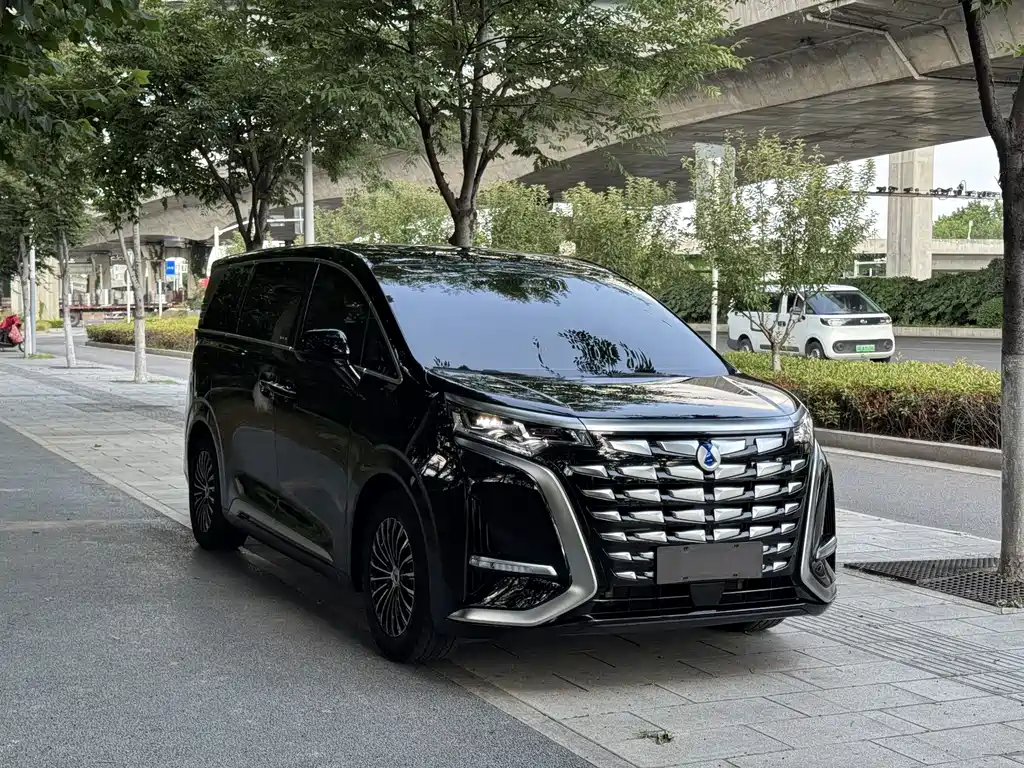 Denza D9 2024 DM-i 980 Luxury