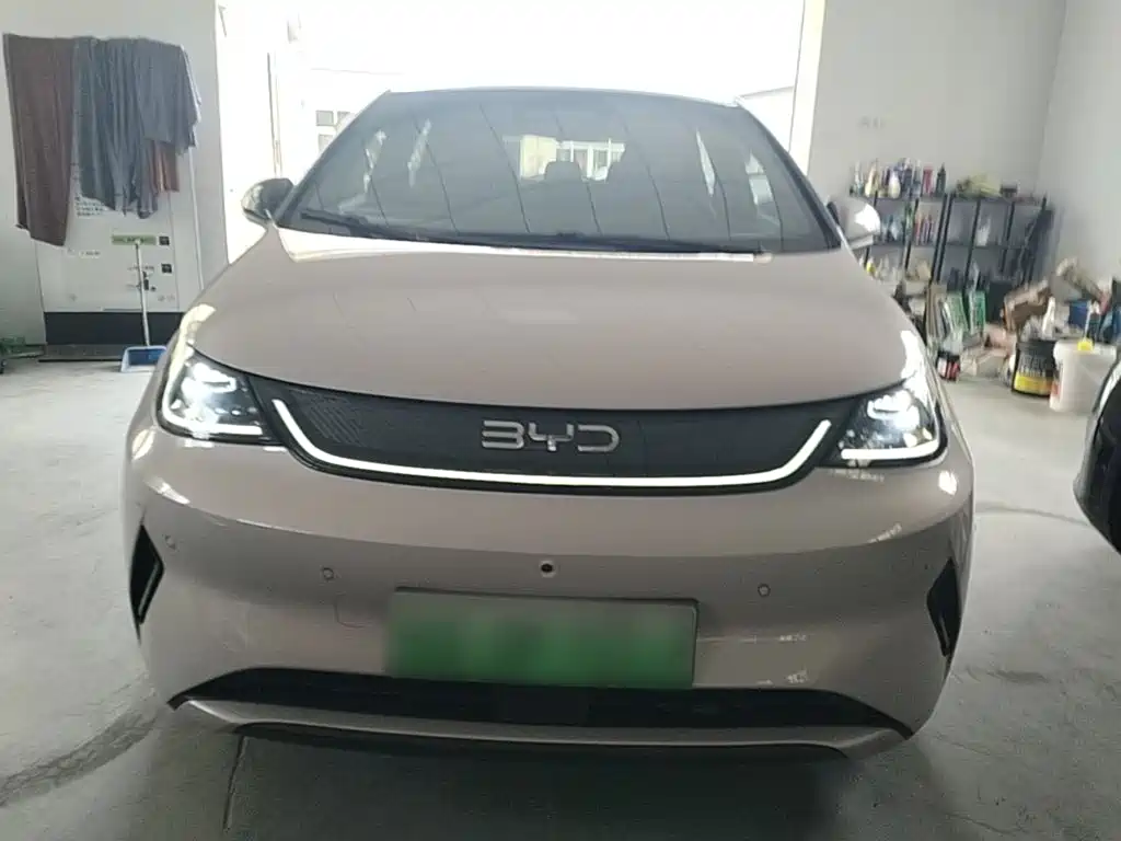 BYD Dolphin — миниатюра 3