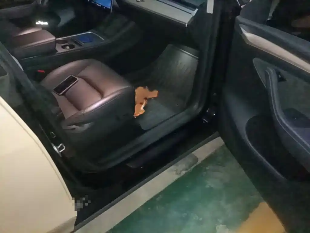 Tesla Model Y — миниатюра 18