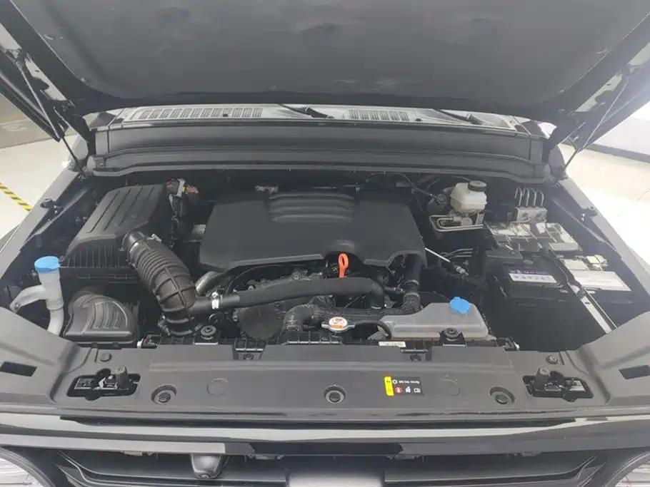 Tank 300 2023 2.0T