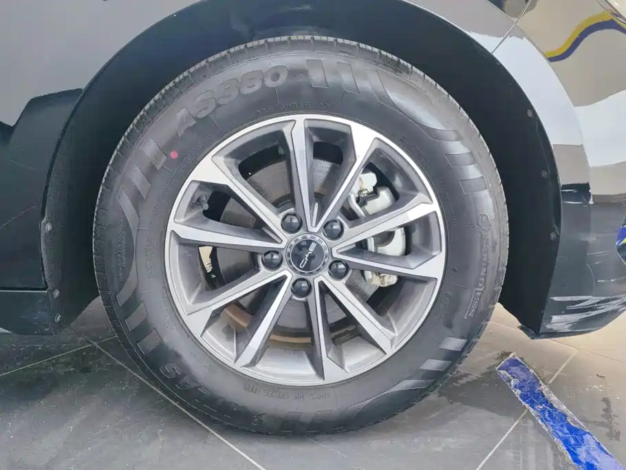 BYD Destroyer 05 2024 DM-i 55KM Luxury