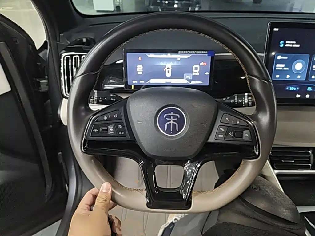 BYD Pro New Energy — миниатюра 11